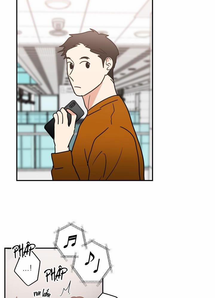 Mâu thuẫn và tương phản 64 trang 11