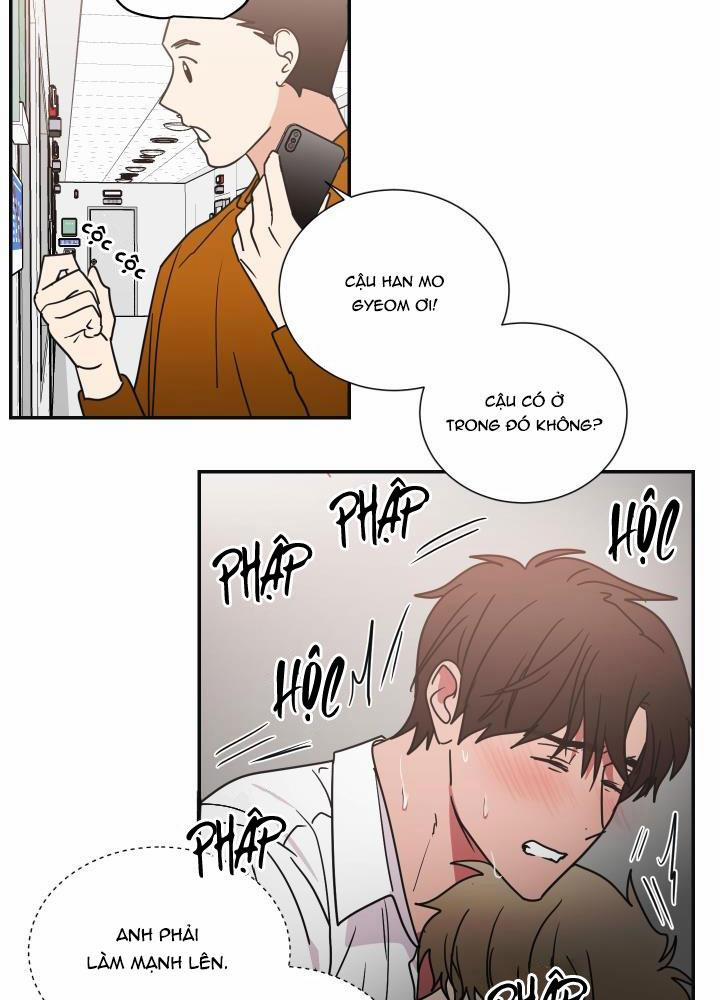 Mâu thuẫn và tương phản 64 trang 13