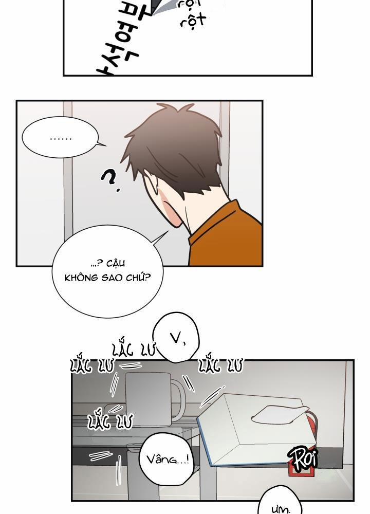 Mâu thuẫn và tương phản 64 trang 16