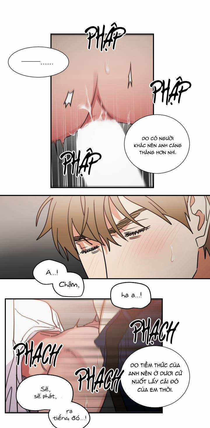 Mâu thuẫn và tương phản 64 trang 18