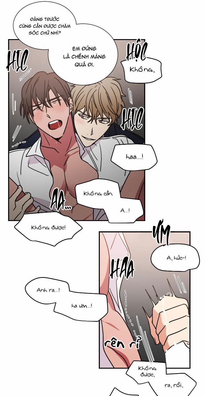 Mâu thuẫn và tương phản 64 trang 21