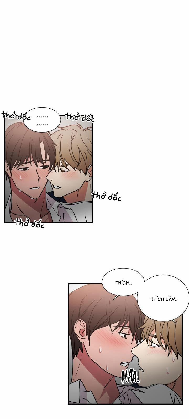 Mâu thuẫn và tương phản 64 trang 23