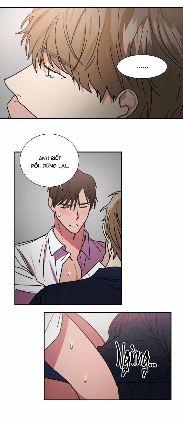 Mâu thuẫn và tương phản 64 trang 5