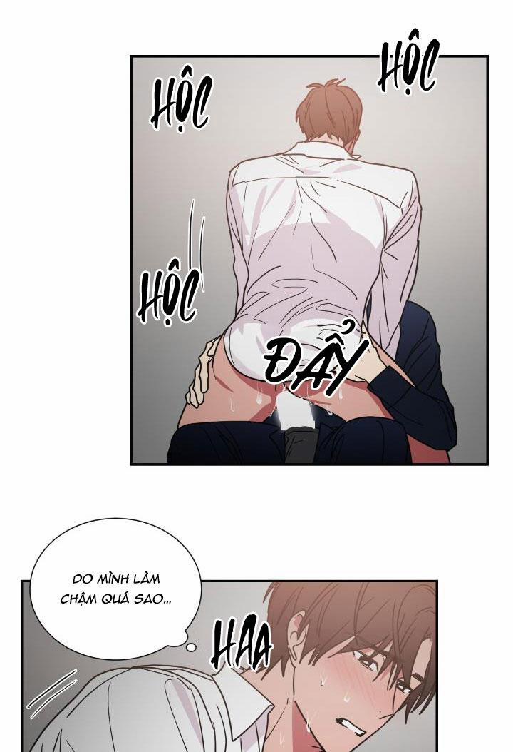 Mâu thuẫn và tương phản 64 trang 7