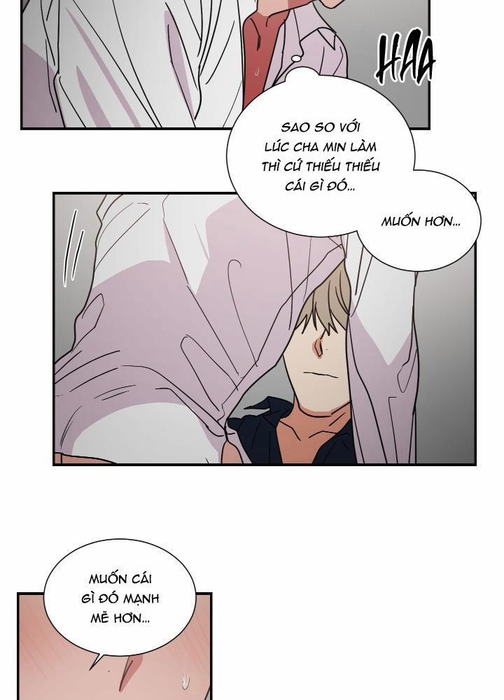 Mâu thuẫn và tương phản 64 trang 8