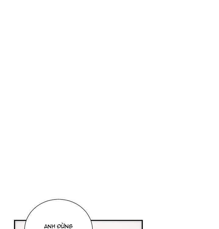 Mâu thuẫn và tương phản 65 trang 1