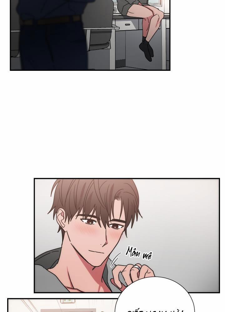 Mâu thuẫn và tương phản 65 trang 10