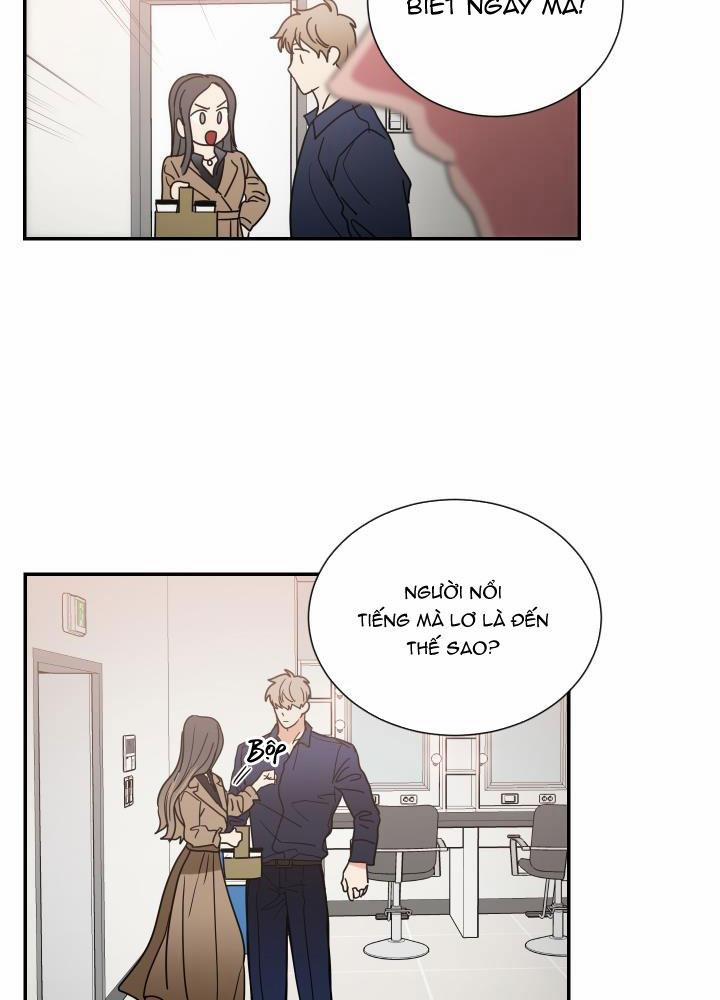 Mâu thuẫn và tương phản 65 trang 11