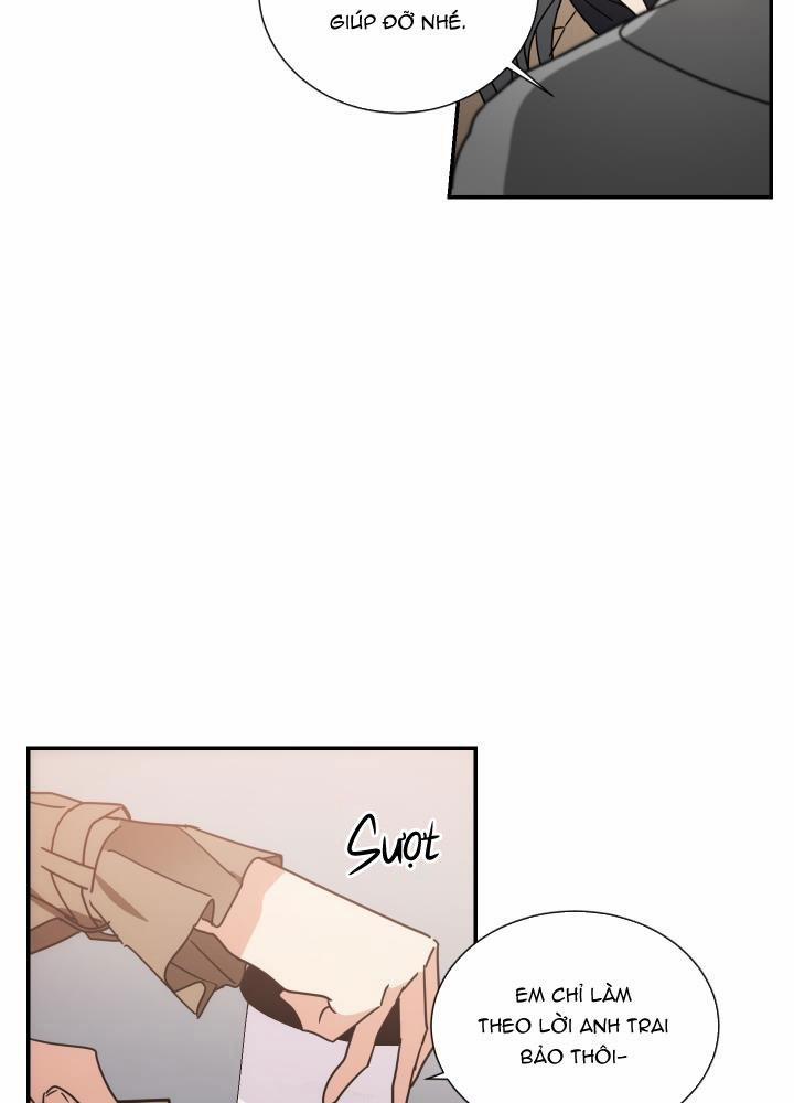 Mâu thuẫn và tương phản 65 trang 16