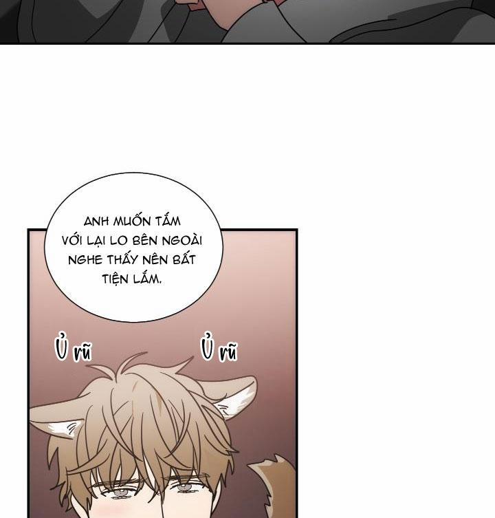 Mâu thuẫn và tương phản 65 trang 7