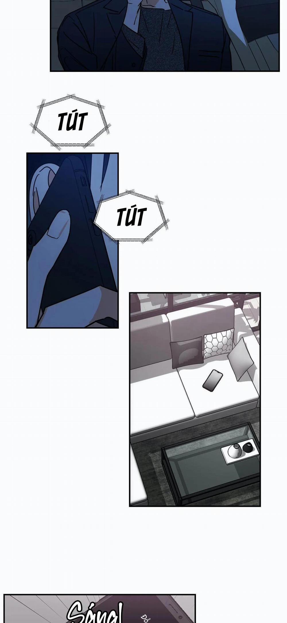 Mâu thuẫn và tương phản 66 trang 17