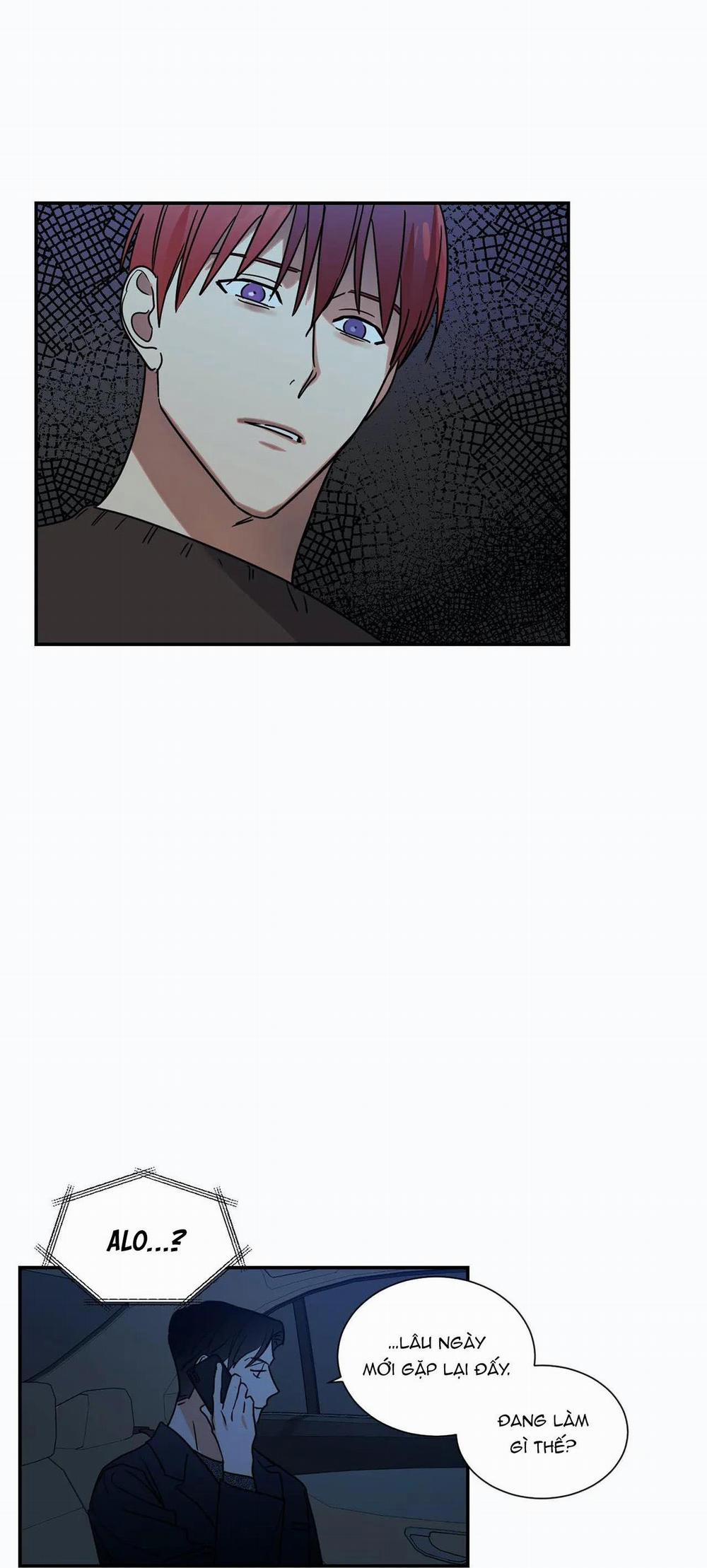 Mâu thuẫn và tương phản 66 trang 21