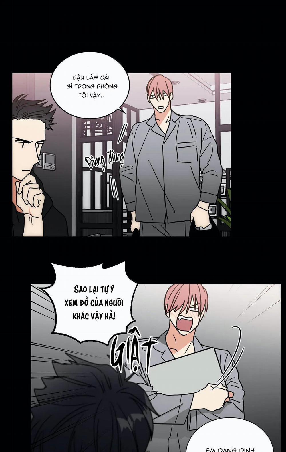 Mâu thuẫn và tương phản 67 trang 20