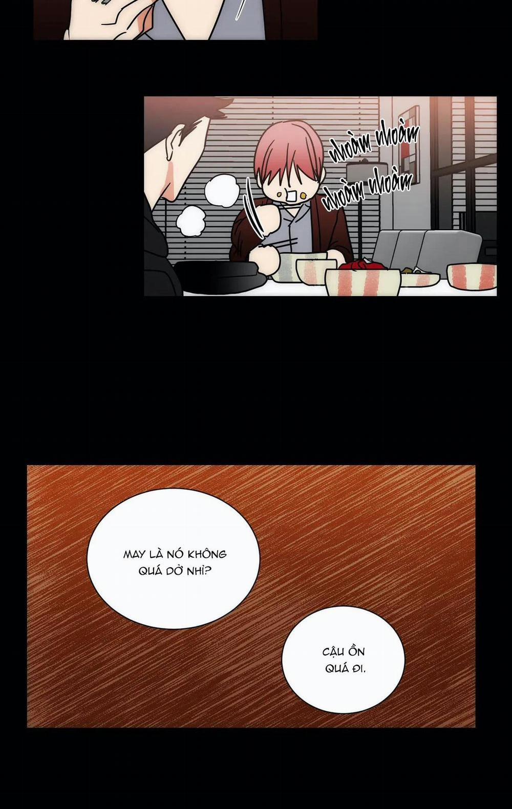 Mâu thuẫn và tương phản 67 trang 29