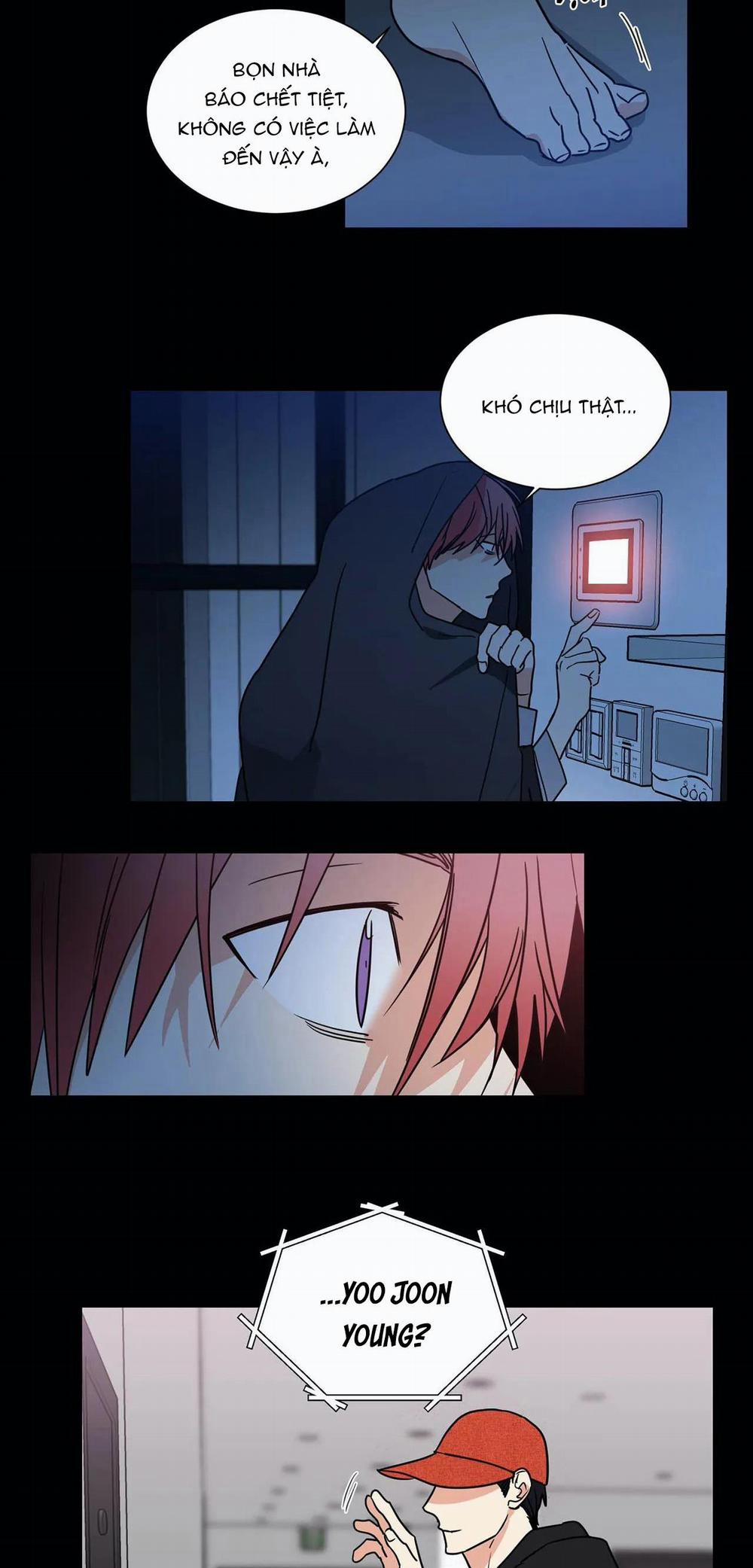 Mâu thuẫn và tương phản 67 trang 4