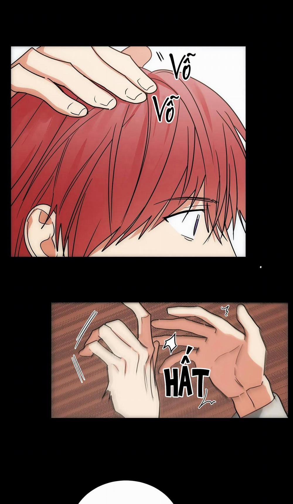 Mâu thuẫn và tương phản 68 trang 17