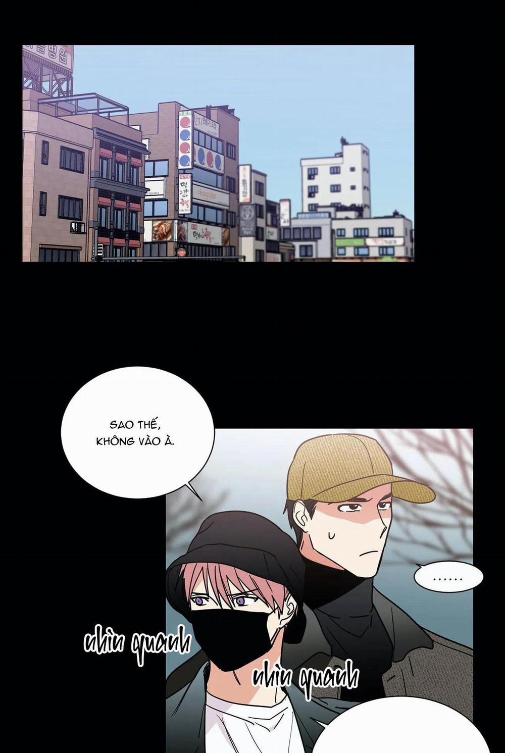 Mâu thuẫn và tương phản 68 trang 21