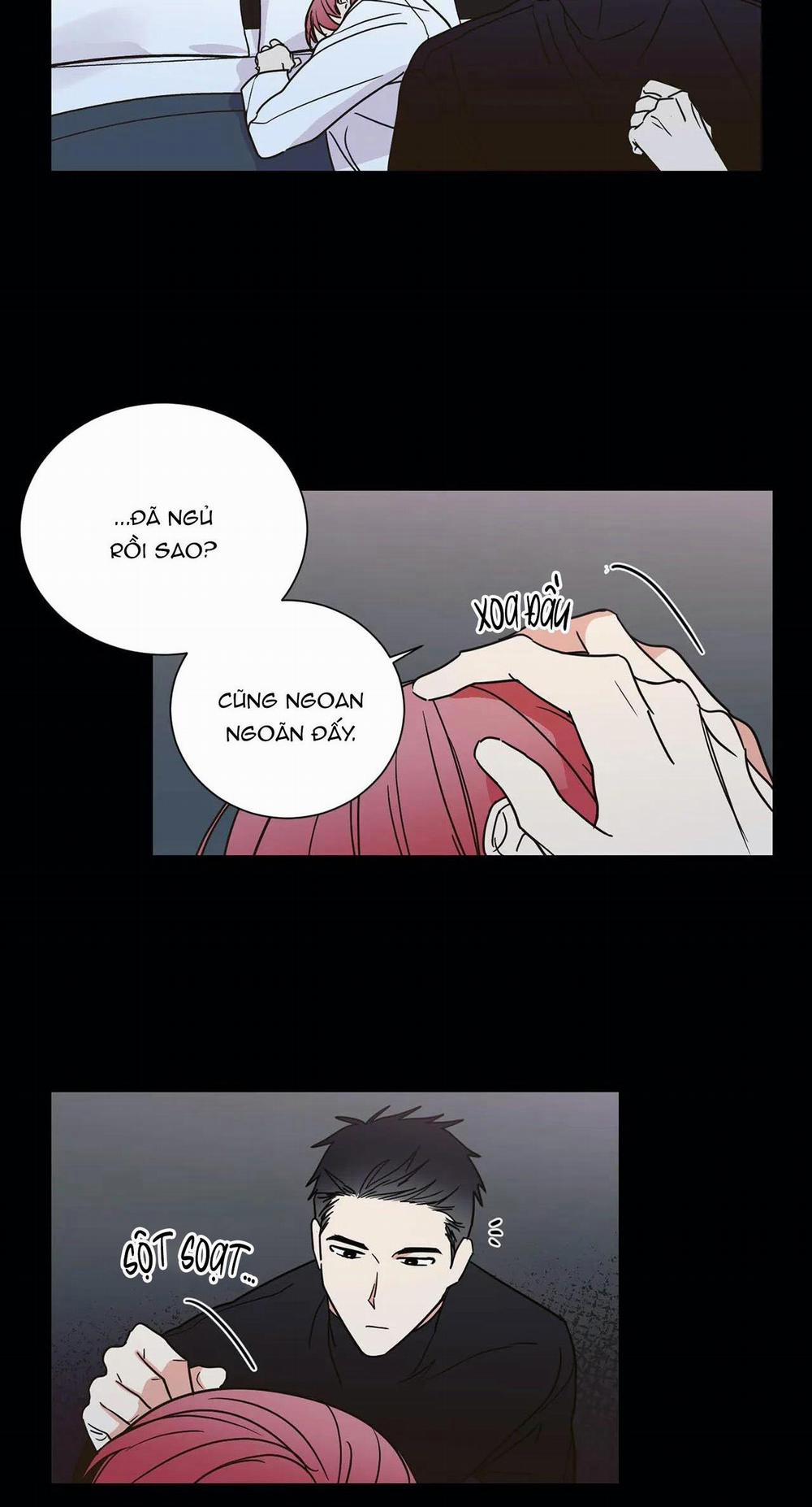 Mâu thuẫn và tương phản 69 trang 22