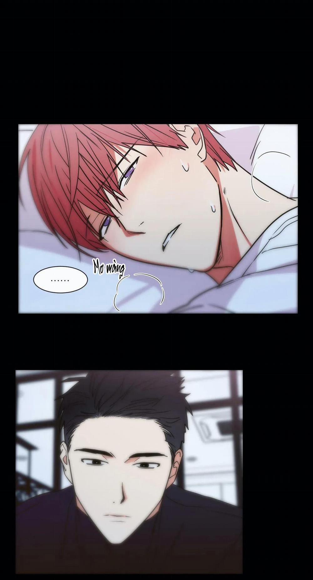 Mâu thuẫn và tương phản 69 trang 23