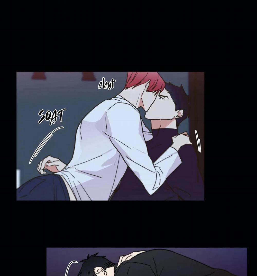 Mâu thuẫn và tương phản 69 trang 31