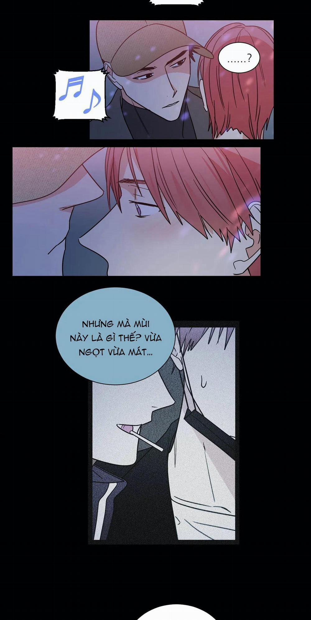 Mâu thuẫn và tương phản 69 trang 4