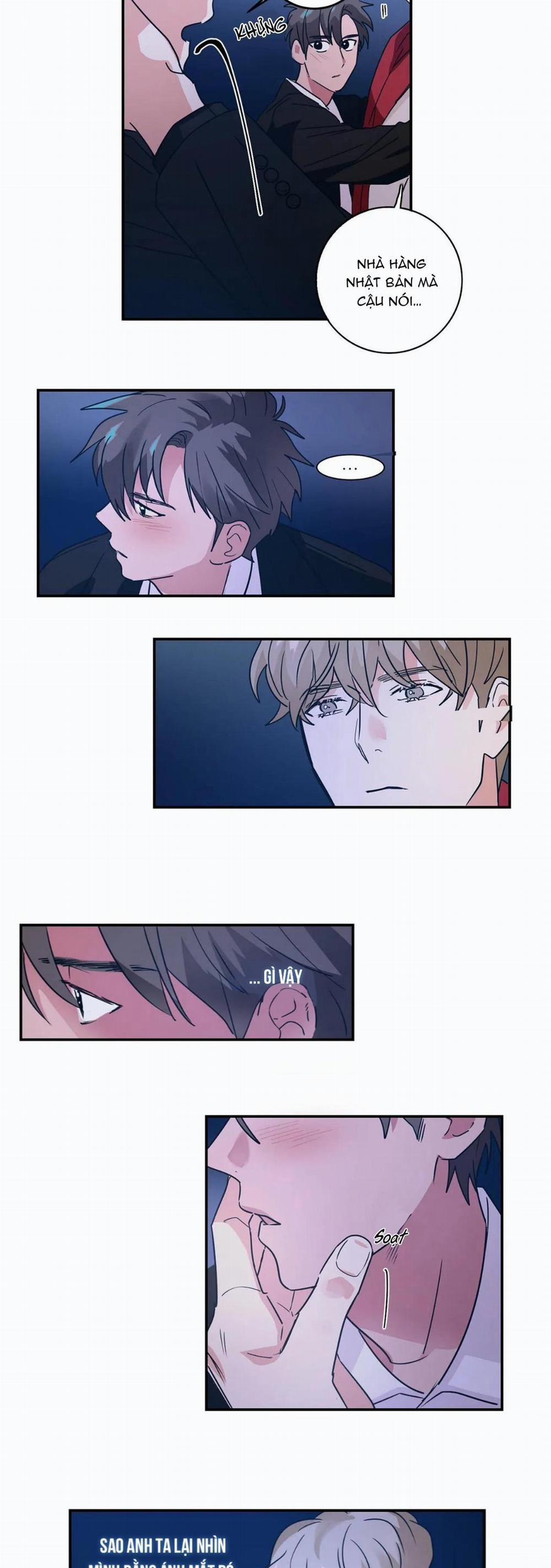 Mâu thuẫn và tương phản 7 trang 13