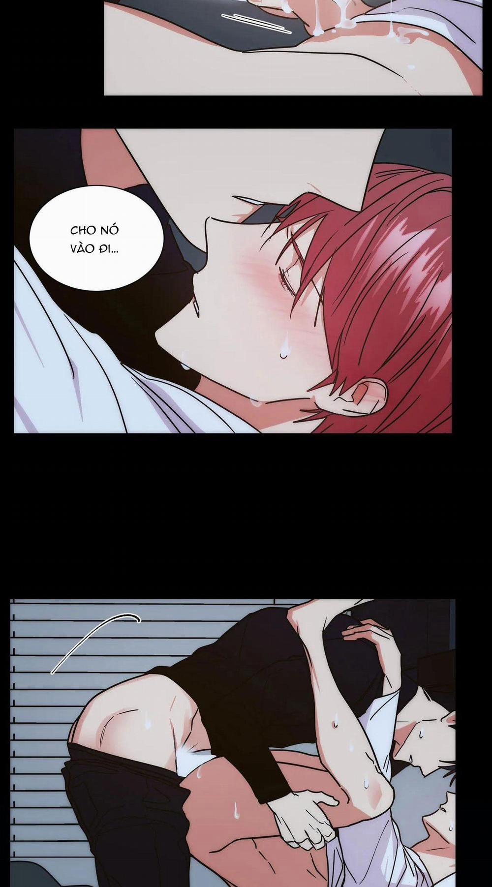 Mâu thuẫn và tương phản 70 trang 13