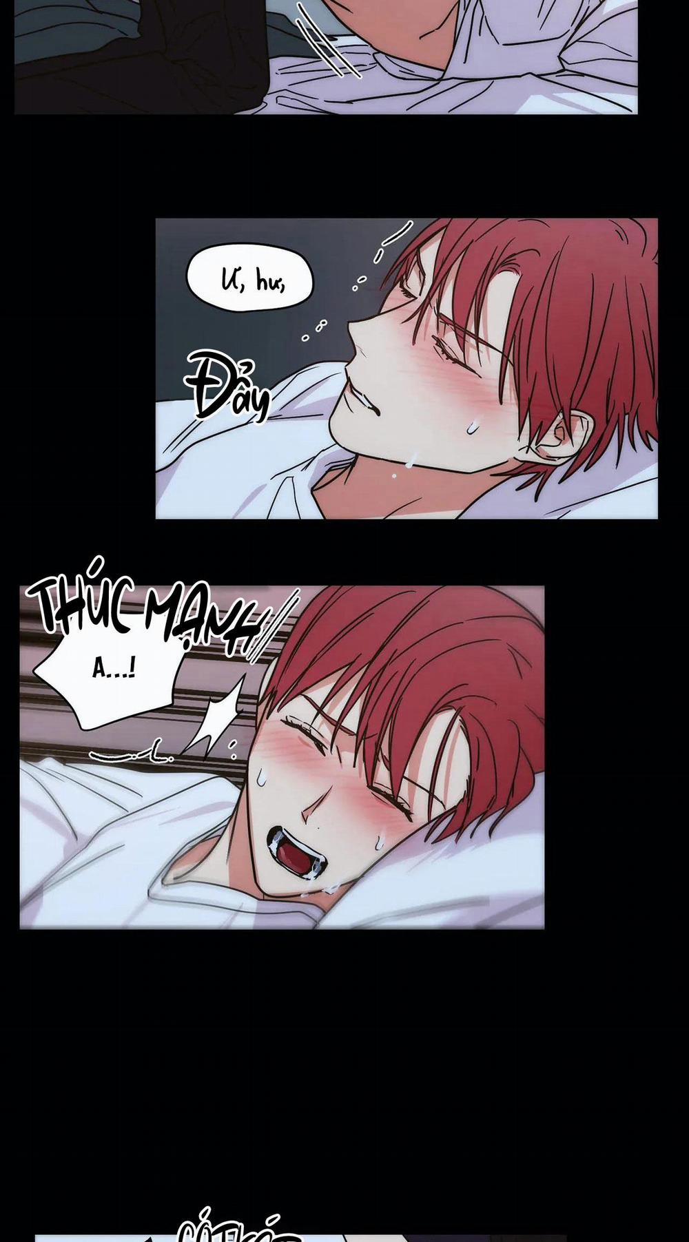 Mâu thuẫn và tương phản 70 trang 14