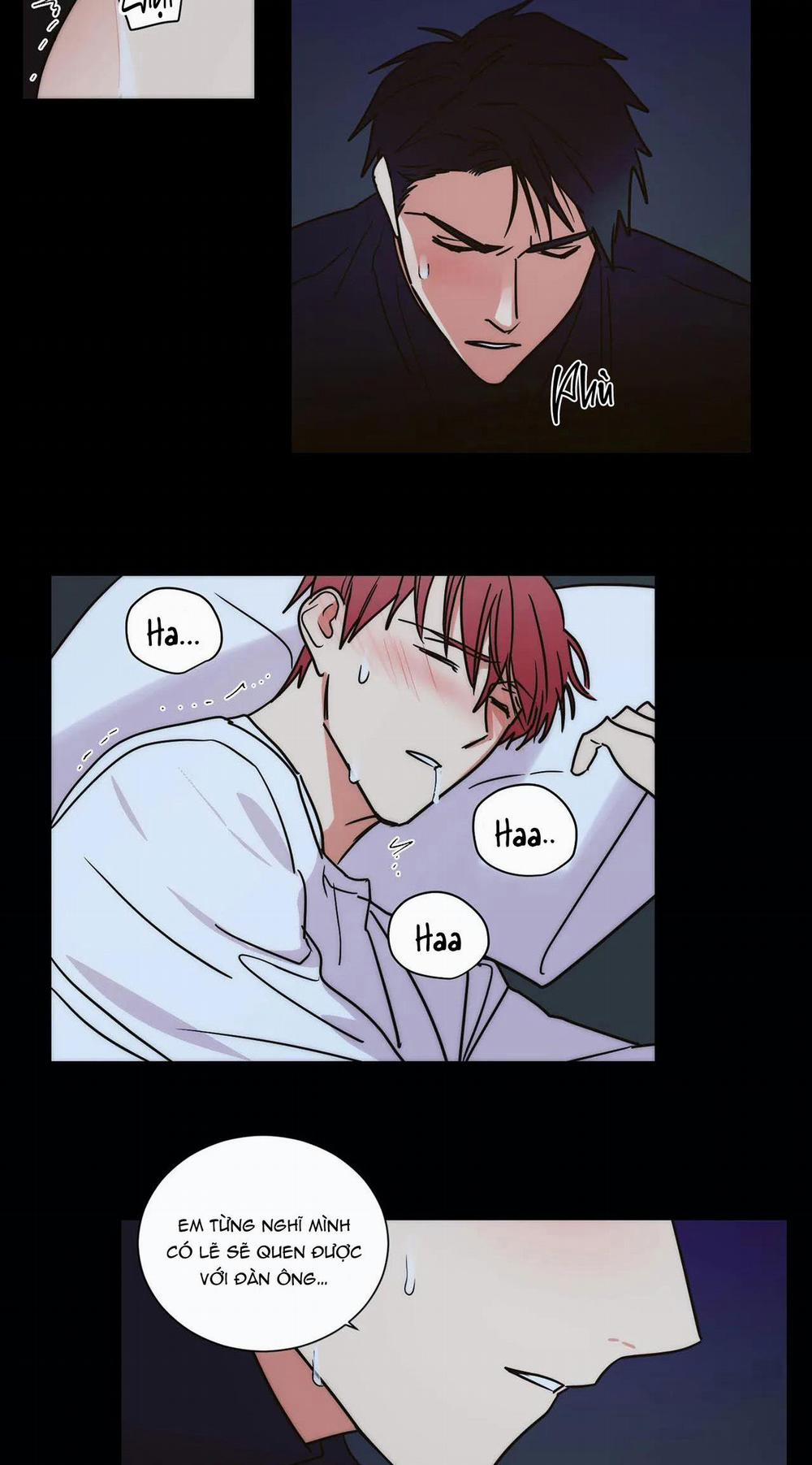 Mâu thuẫn và tương phản 70 trang 17