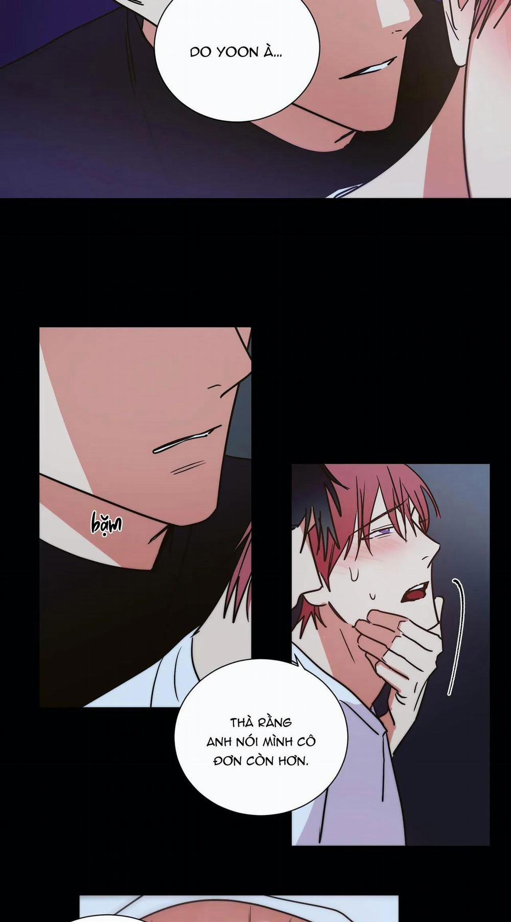 Mâu thuẫn và tương phản 70 trang 19