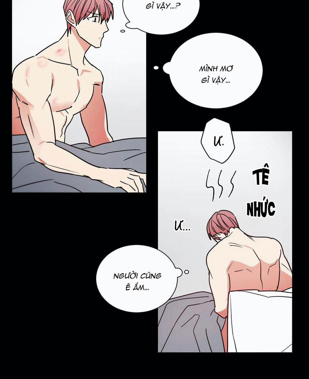 Mâu thuẫn và tương phản 70 trang 36