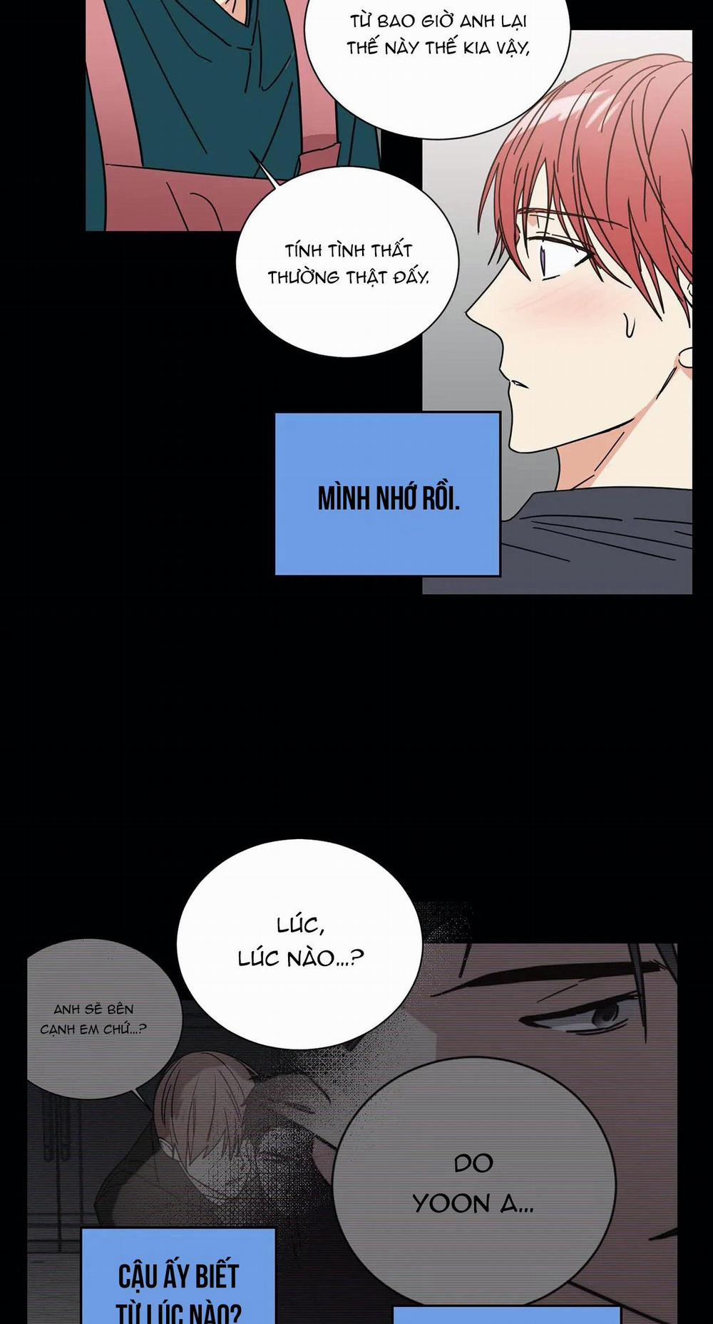 Mâu thuẫn và tương phản 71 trang 12