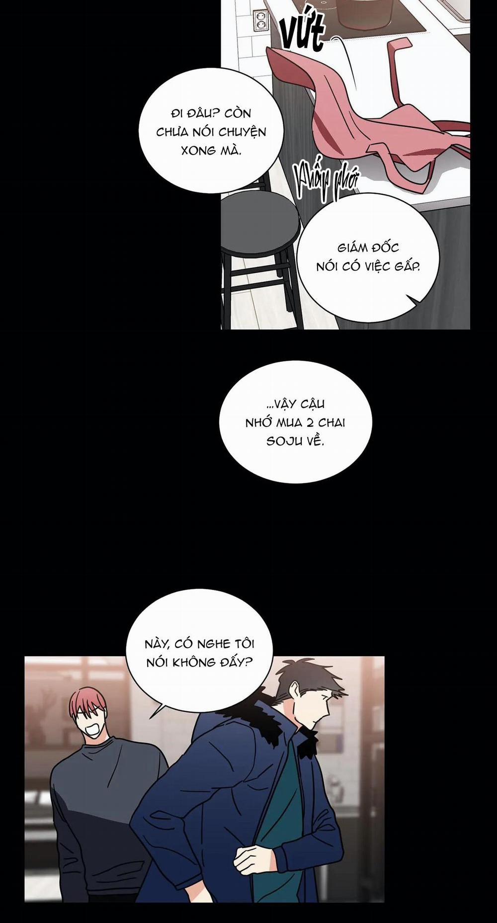 Mâu thuẫn và tương phản 71 trang 17