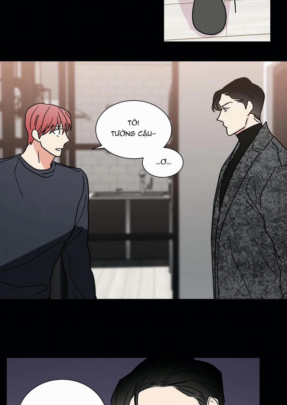 Mâu thuẫn và tương phản 71 trang 21