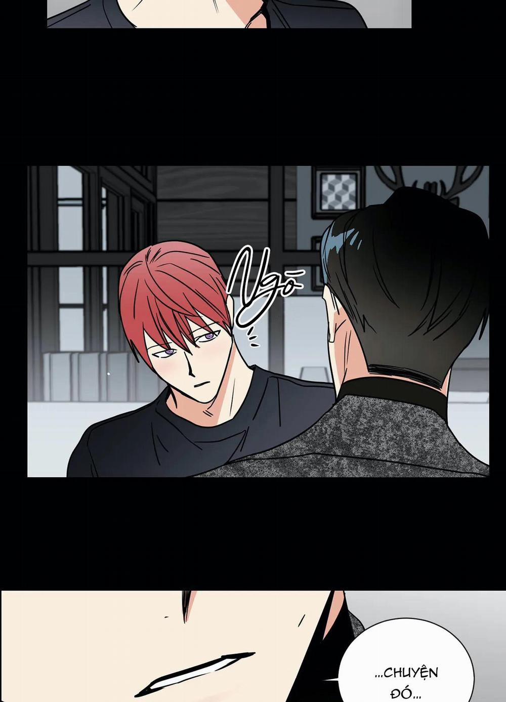 Mâu thuẫn và tương phản 72 trang 33