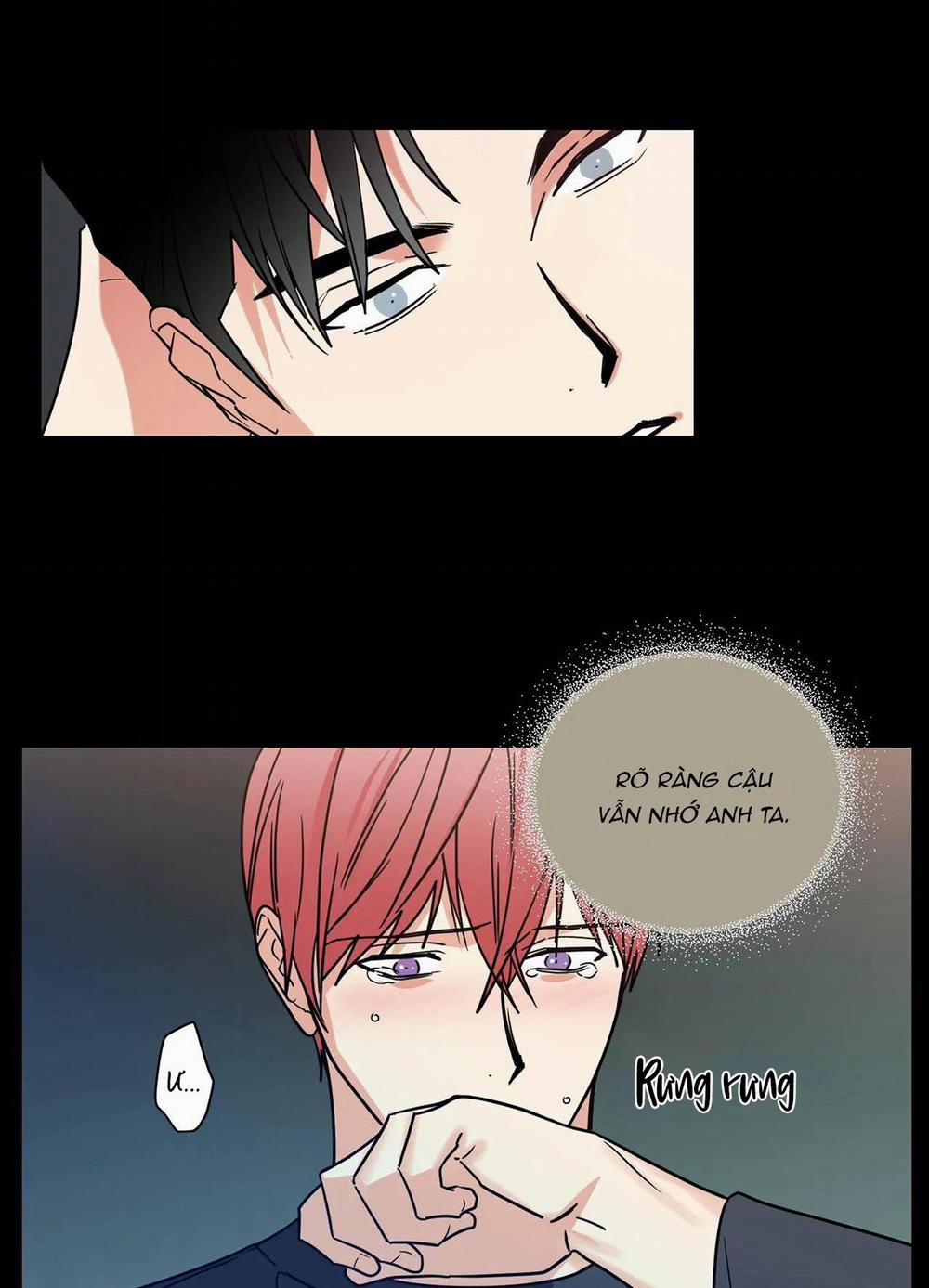 Mâu thuẫn và tương phản 72 trang 38