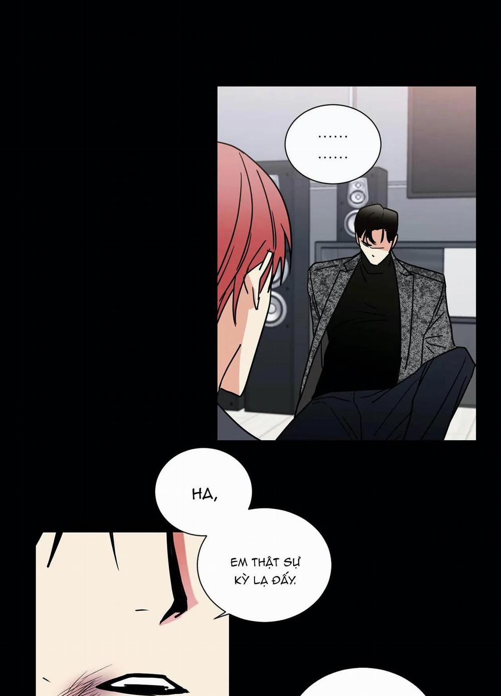 Mâu thuẫn và tương phản 72 trang 42