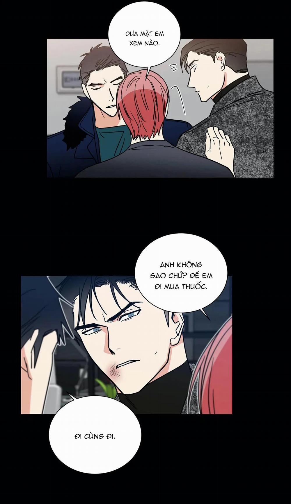 Mâu thuẫn và tương phản 73 trang 12