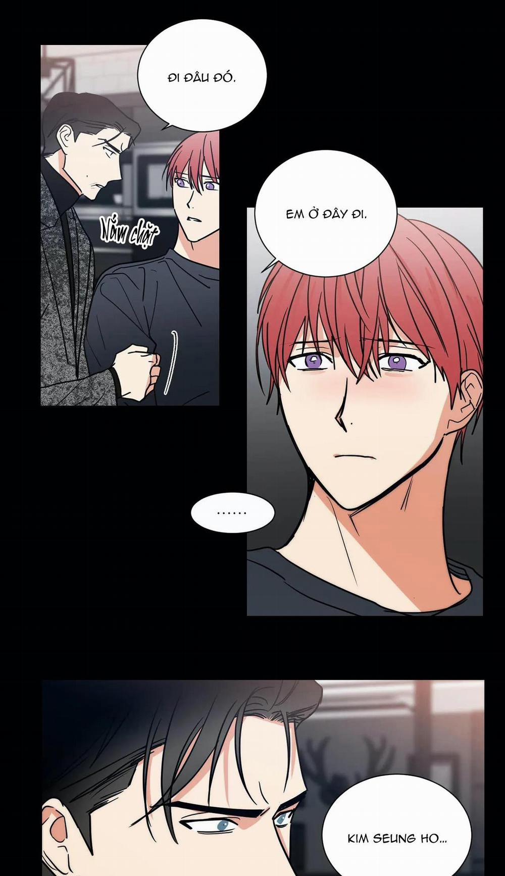 Mâu thuẫn và tương phản 73 trang 13