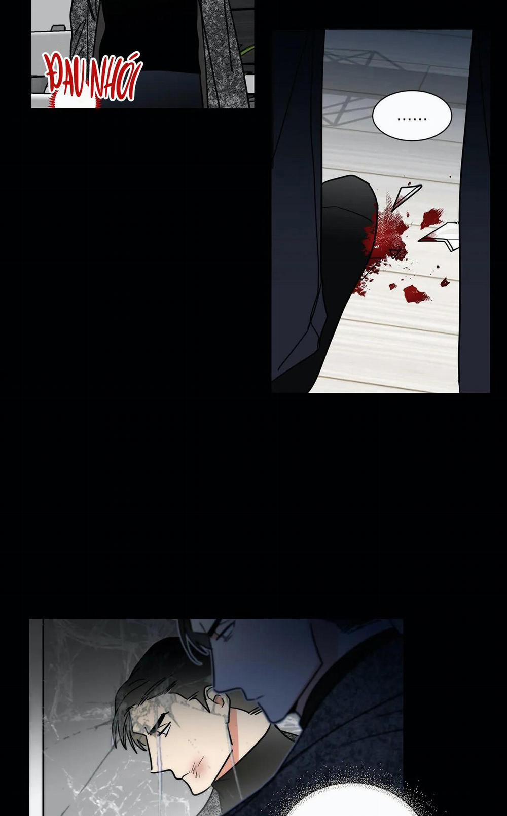 Mâu thuẫn và tương phản 73 trang 17