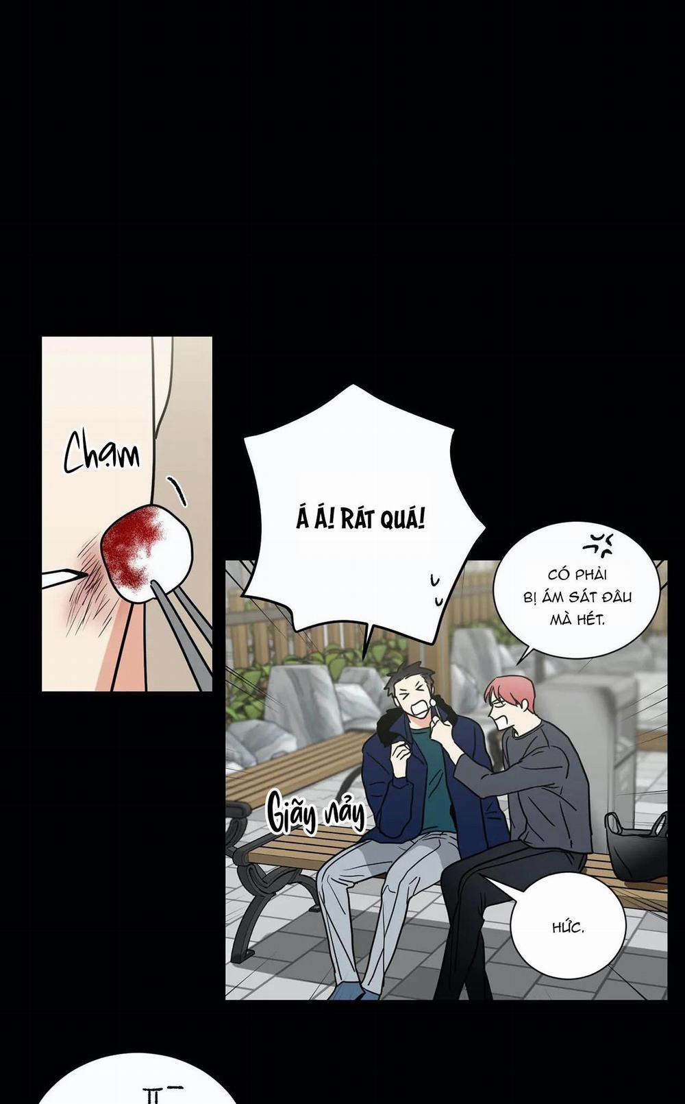 Mâu thuẫn và tương phản 73 trang 21