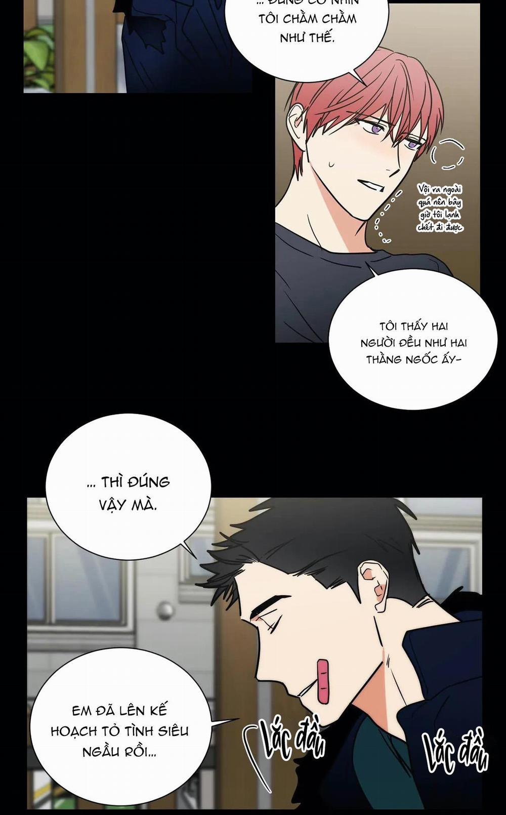 Mâu thuẫn và tương phản 73 trang 23