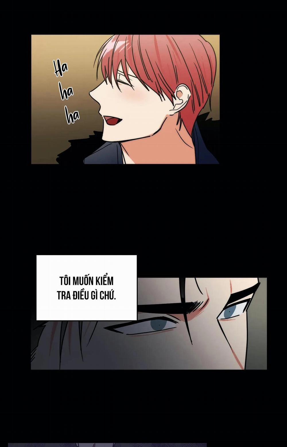 Mâu thuẫn và tương phản 74 trang 4