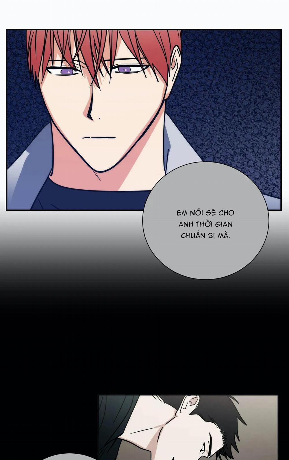 Mâu thuẫn và tương phản 75 trang 13