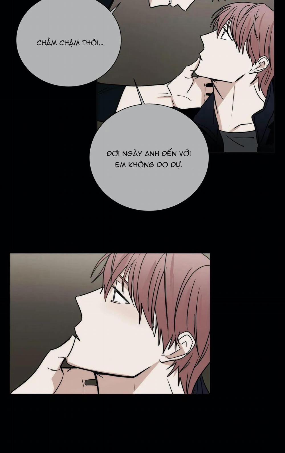 Mâu thuẫn và tương phản 75 trang 14