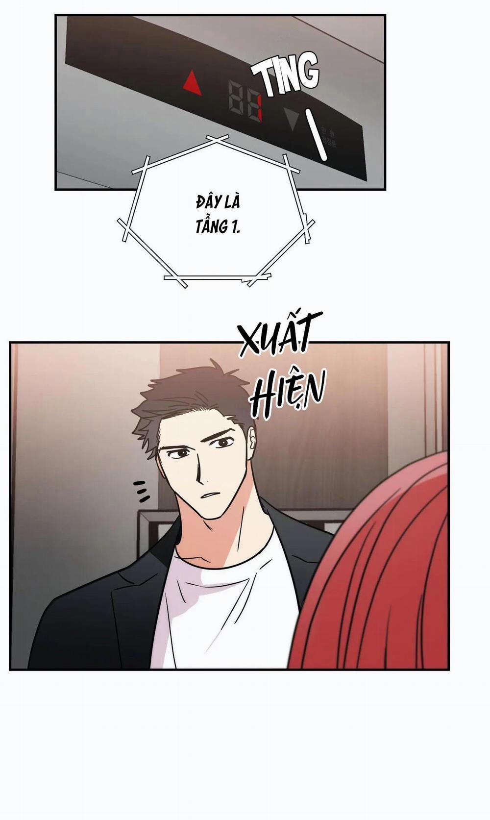 Mâu thuẫn và tương phản 75 trang 23