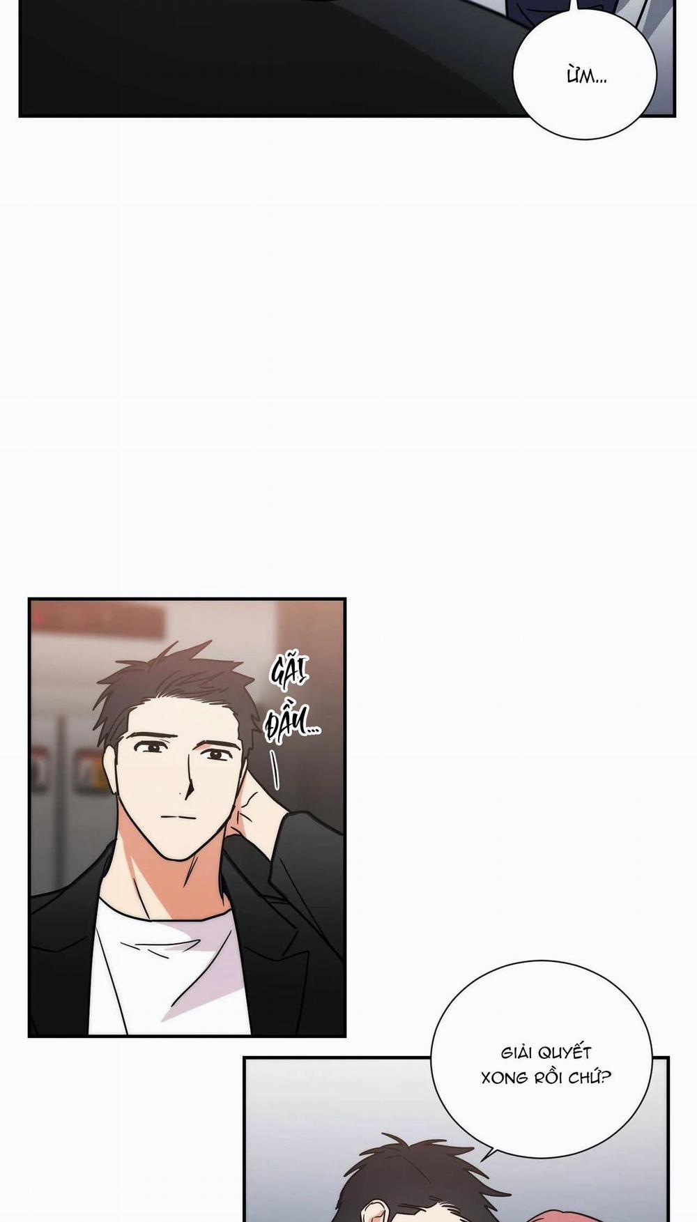 Mâu thuẫn và tương phản 75 trang 25