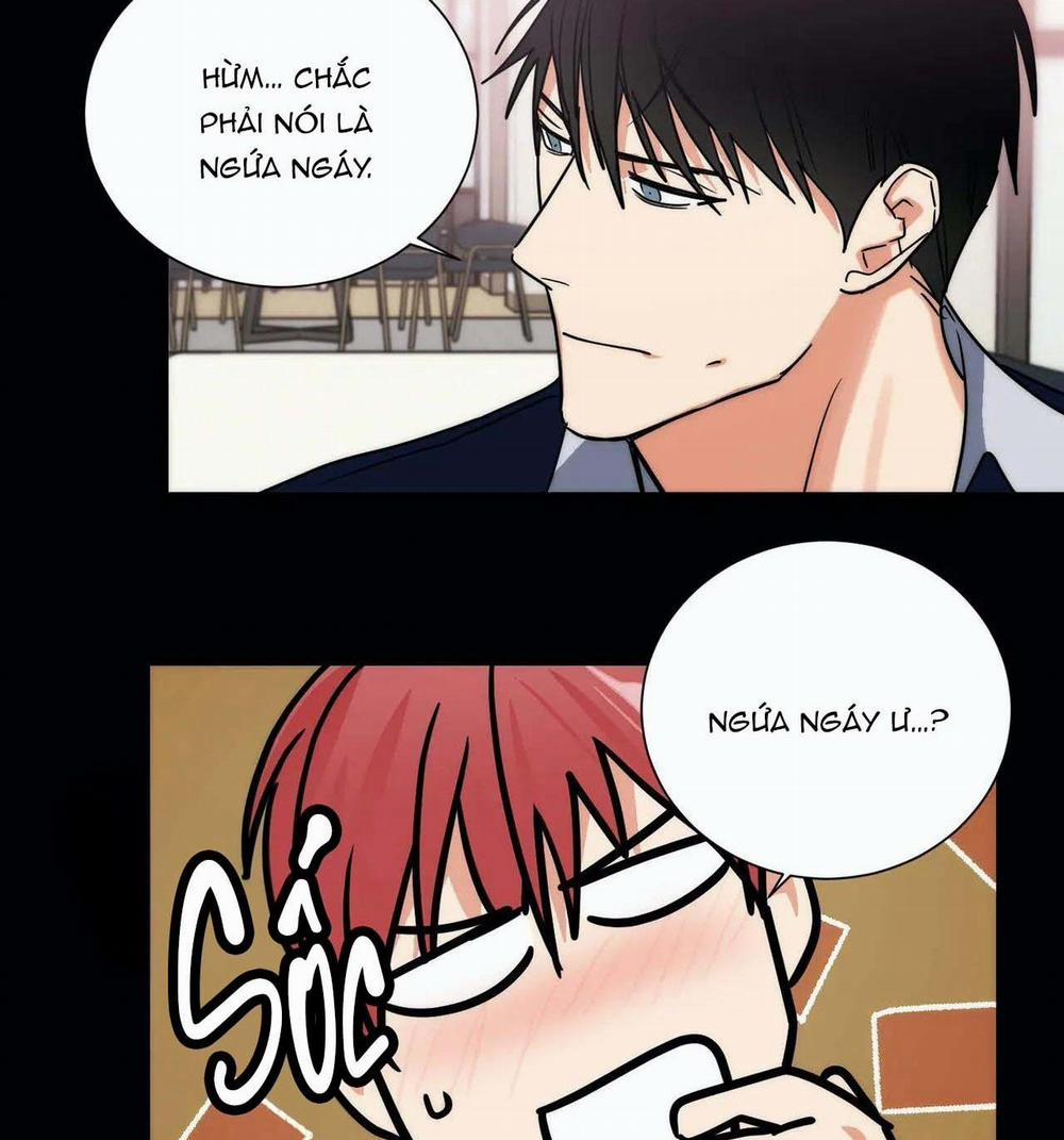 Mâu thuẫn và tương phản 76 trang 29