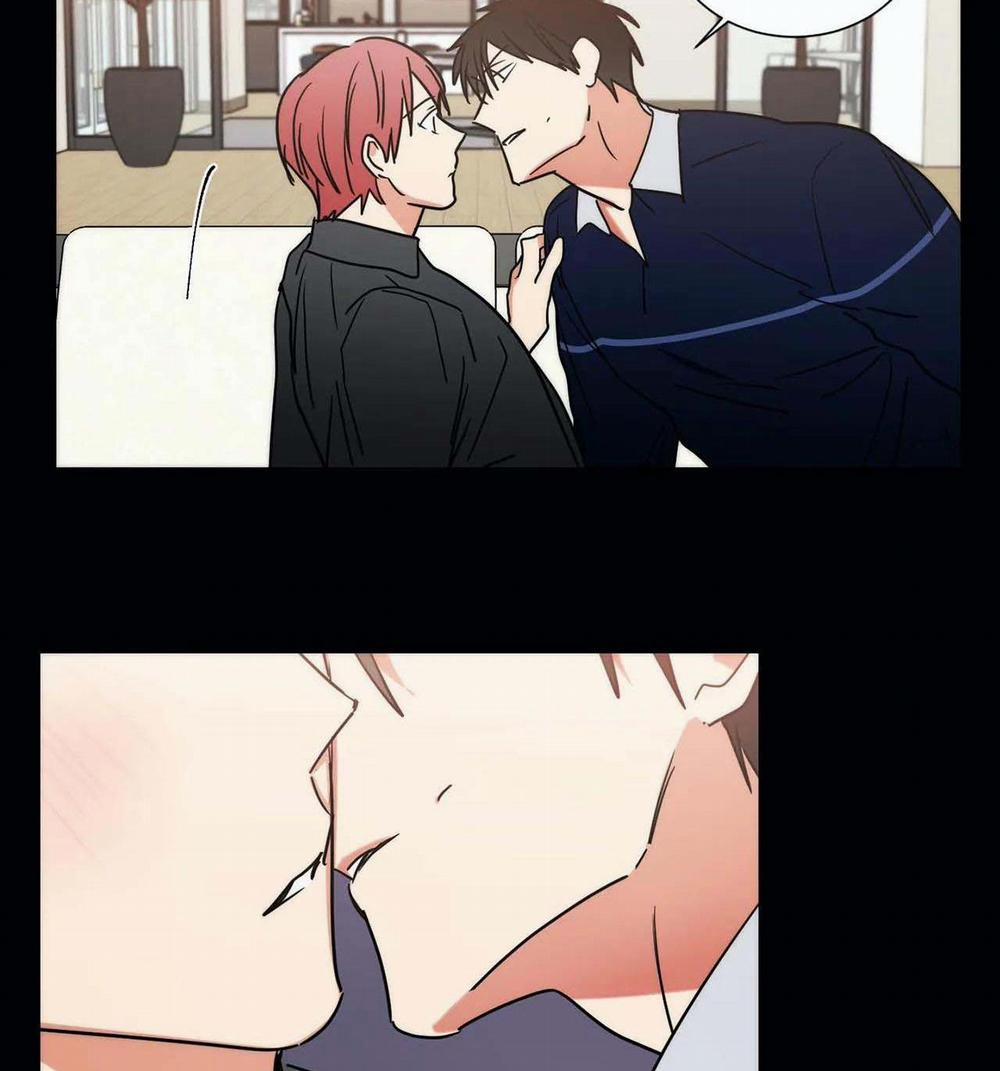 Mâu thuẫn và tương phản 76 trang 31