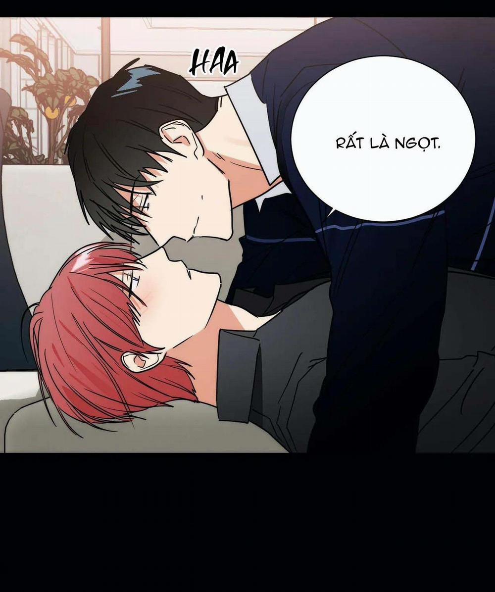 Mâu thuẫn và tương phản 76 trang 34